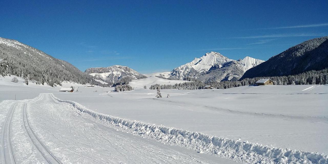 Gite Les Lanfiannes Thorens-Glières Exterior foto